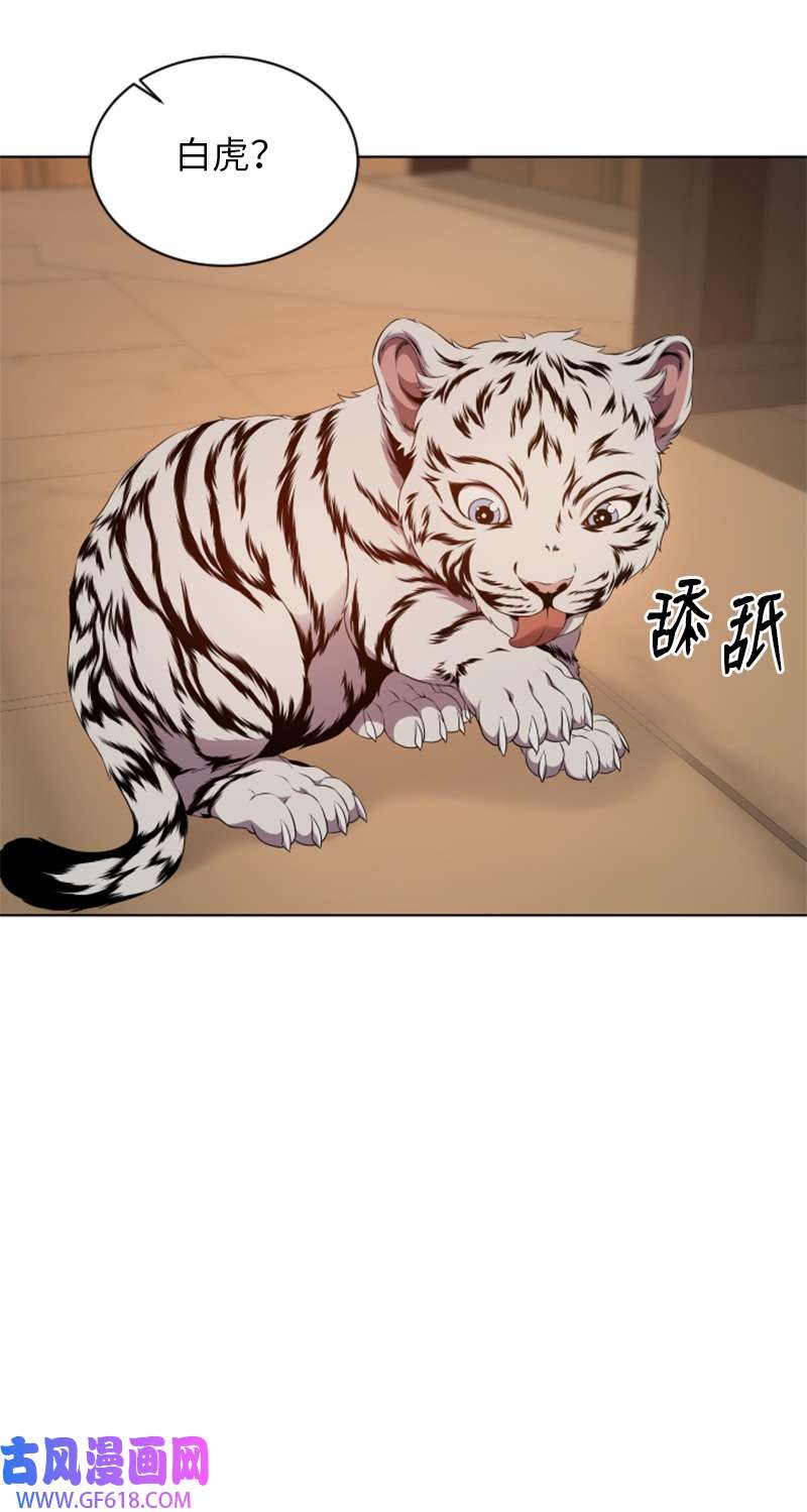 升级才是王道42 同伴