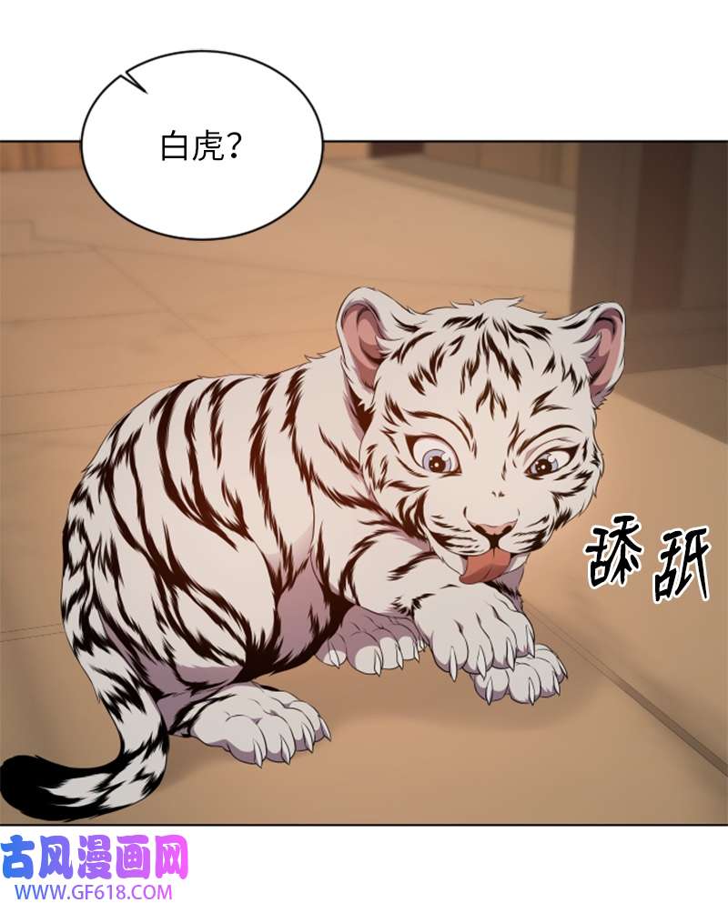 升级才是王道43 阿尔戈山脉