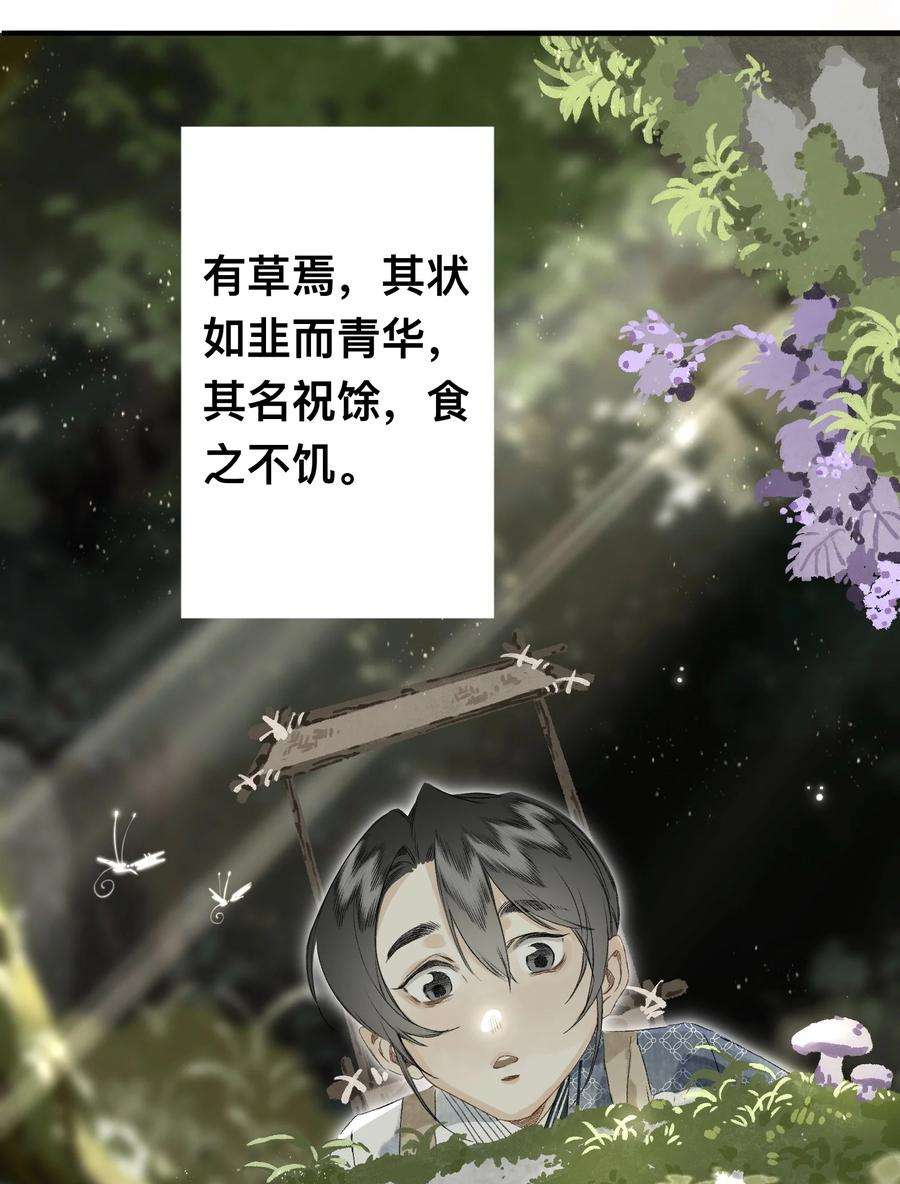 妖怪的集市047 怀梦草
