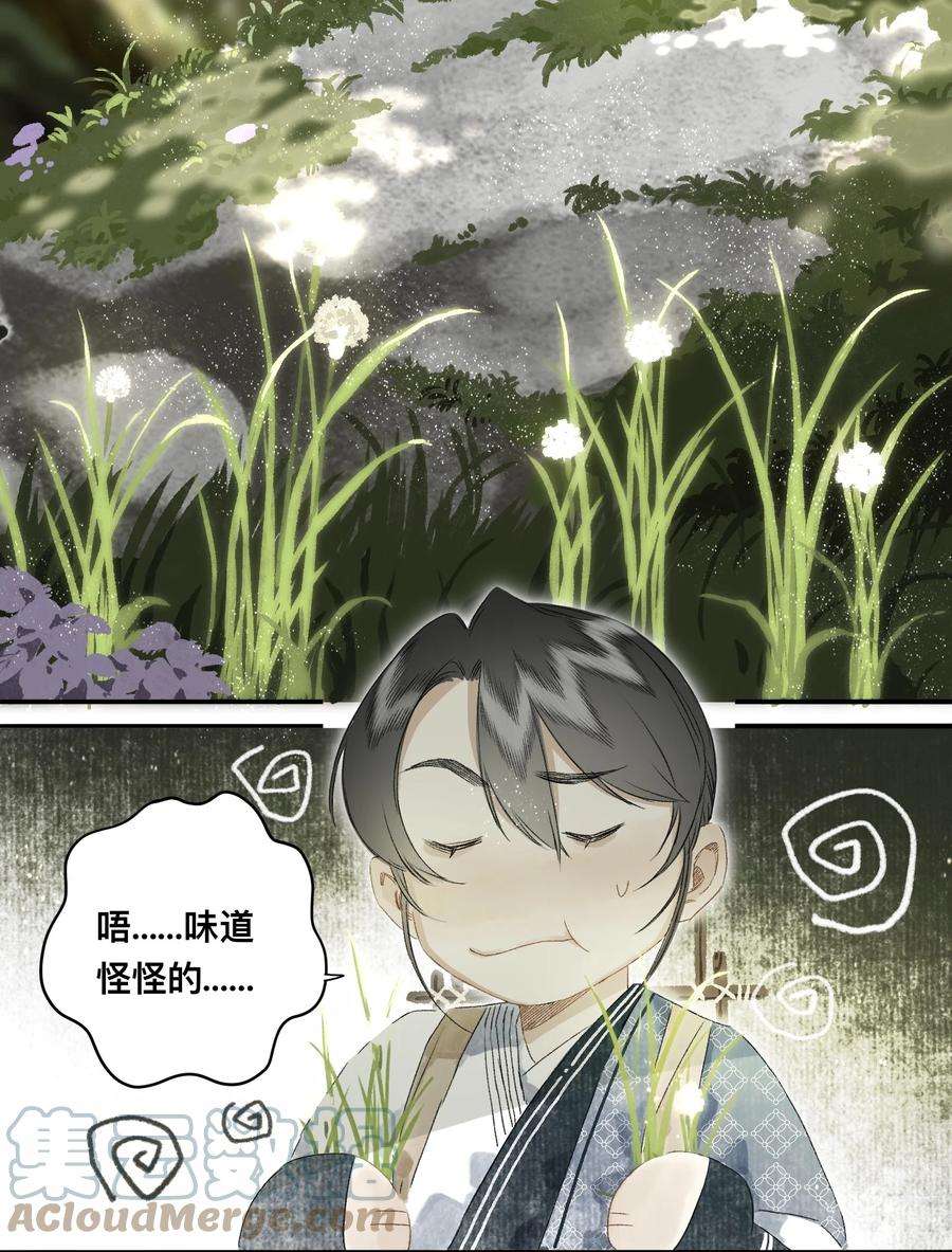 妖怪的集市047 怀梦草