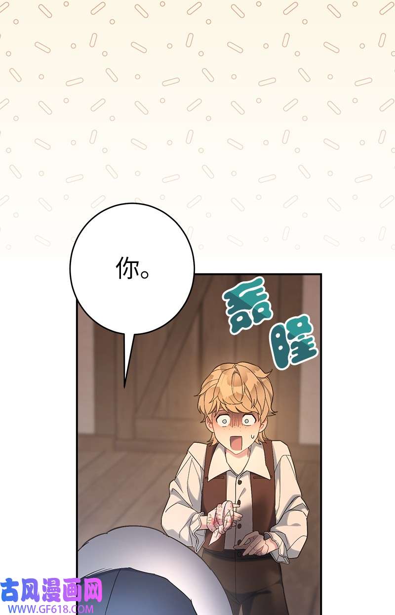 错把结婚当交易，却意外的甜蜜？12 安排妥当