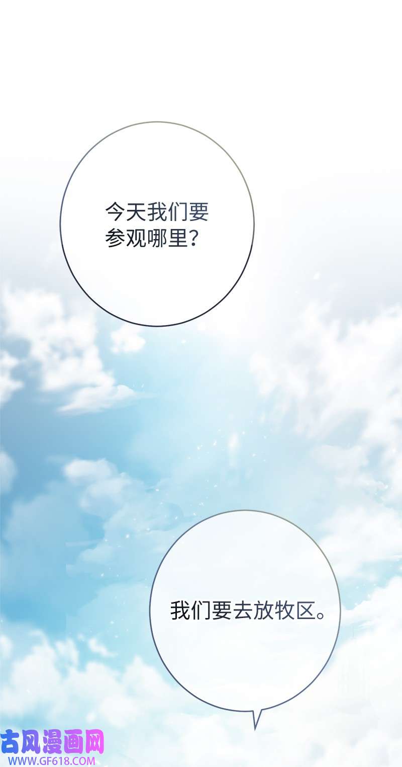 错把结婚当交易，却意外的甜蜜？13 投资生意