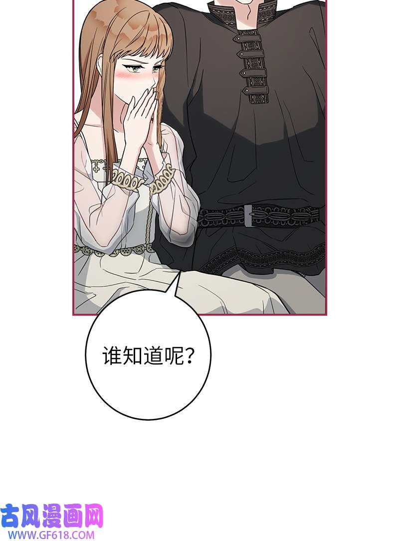 错把结婚当交易，却意外的甜蜜？25 夜幕降临