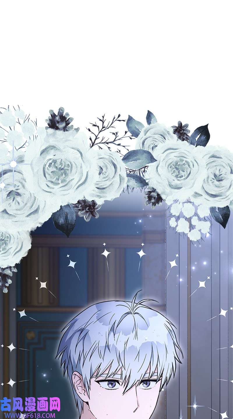 错把结婚当交易，却意外的甜蜜？25 夜幕降临