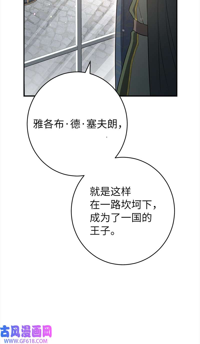 错把结婚当交易，却意外的甜蜜？26 二王子的身世