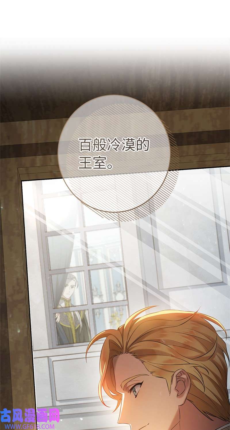 错把结婚当交易，却意外的甜蜜？26 二王子的身世