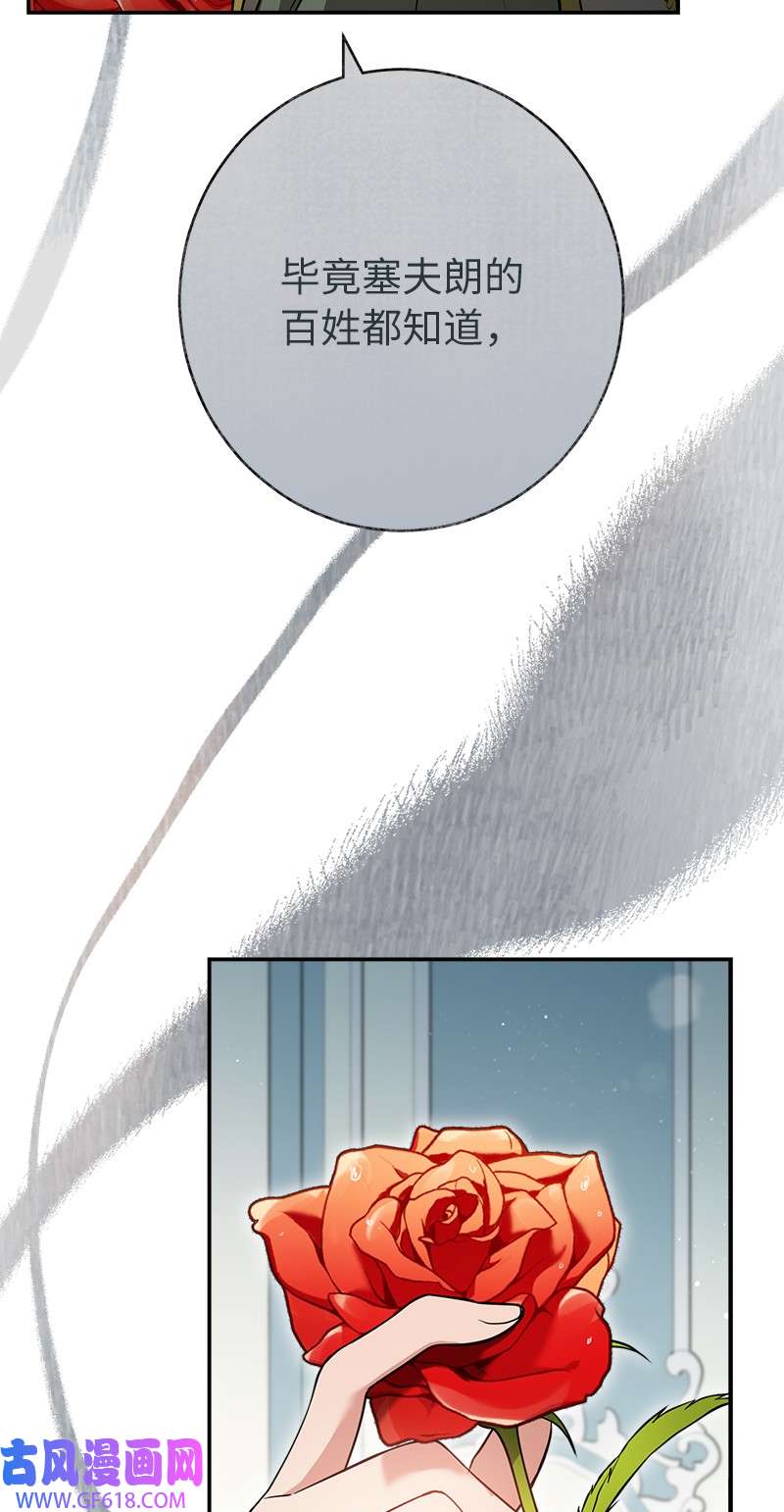 错把结婚当交易，却意外的甜蜜？26 二王子的身世