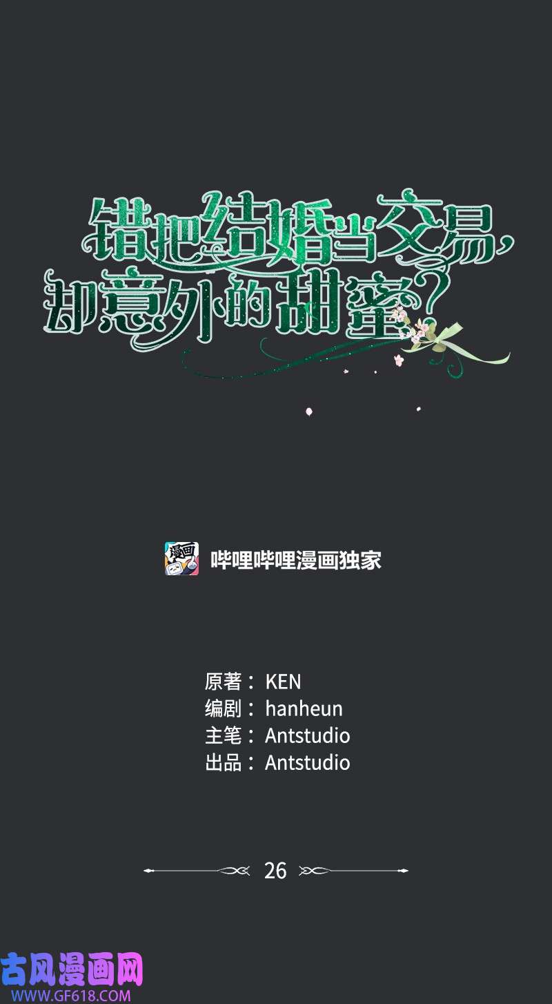 错把结婚当交易，却意外的甜蜜？26 二王子的身世