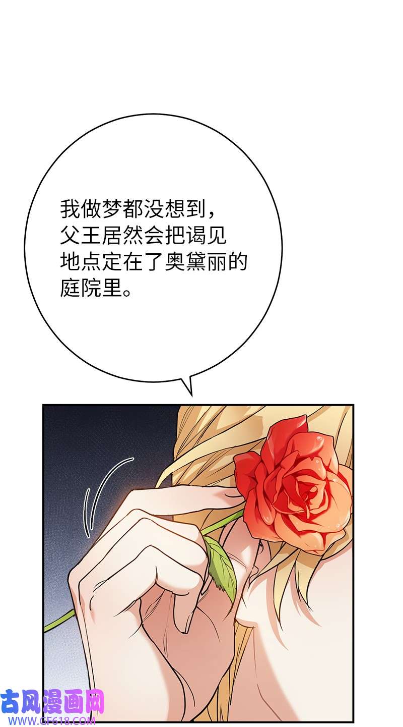 错把结婚当交易，却意外的甜蜜？26 二王子的身世