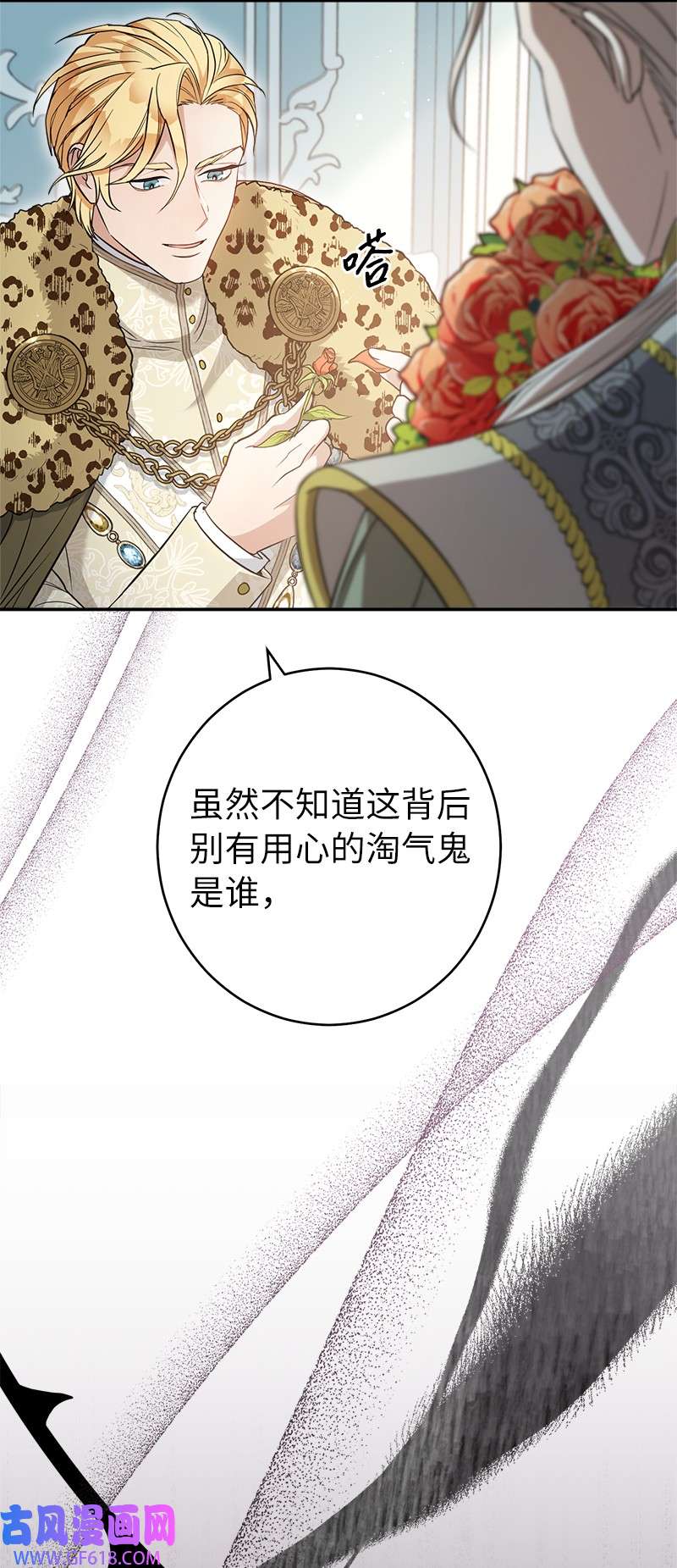 错把结婚当交易，却意外的甜蜜？26 二王子的身世