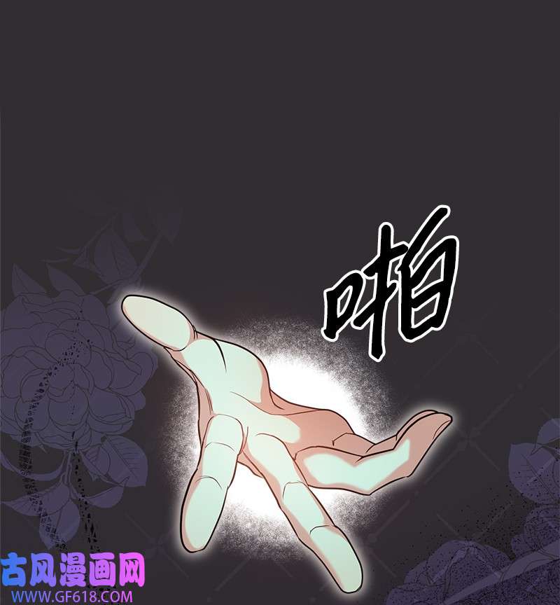 错把结婚当交易，却意外的甜蜜？26 二王子的身世