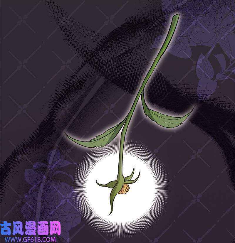 错把结婚当交易，却意外的甜蜜？26 二王子的身世