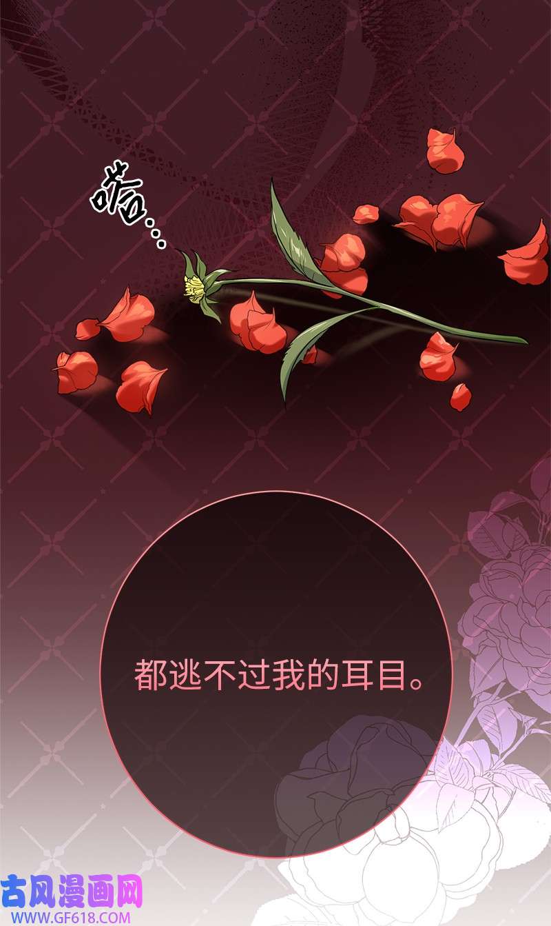 错把结婚当交易，却意外的甜蜜？26 二王子的身世