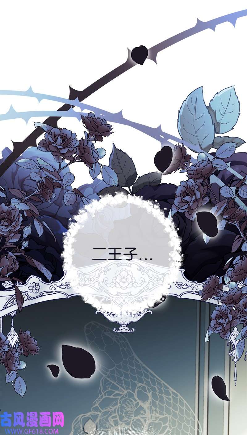 错把结婚当交易，却意外的甜蜜？26 二王子的身世