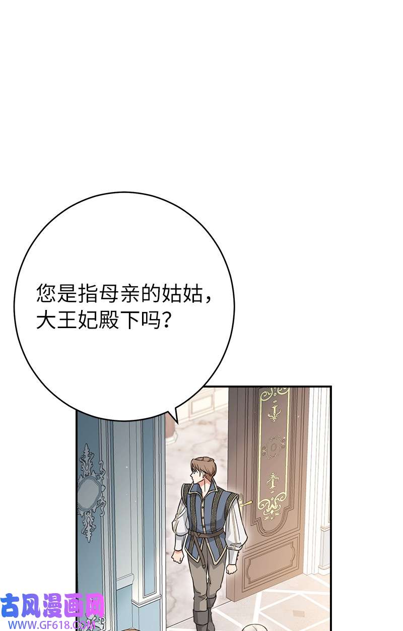 错把结婚当交易，却意外的甜蜜？26 二王子的身世