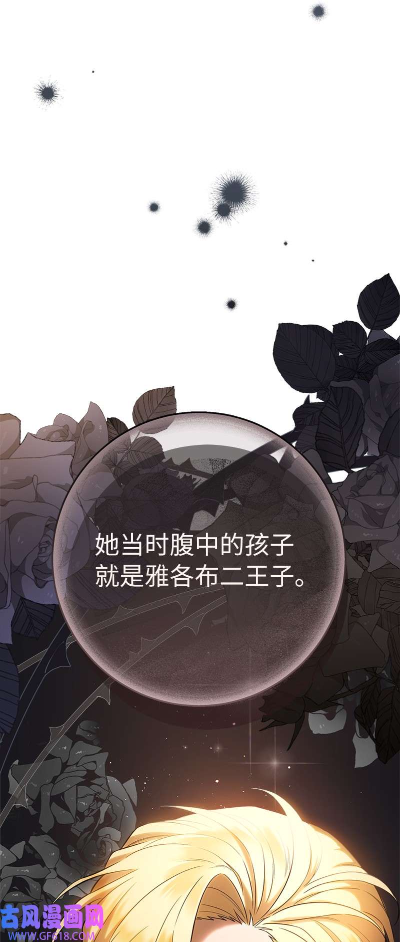 错把结婚当交易，却意外的甜蜜？26 二王子的身世