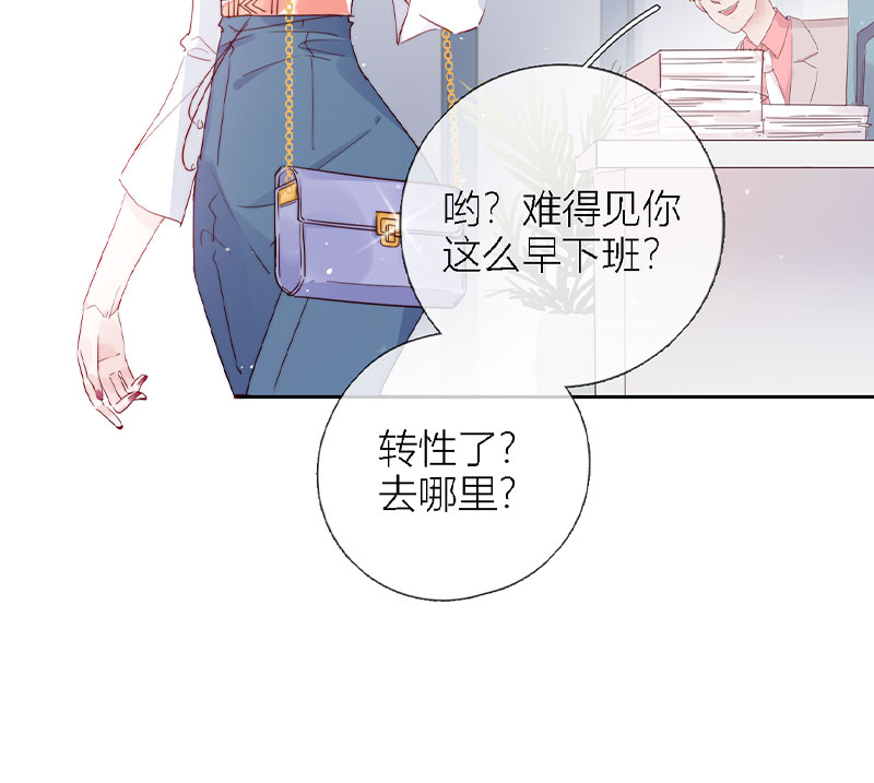 《金屋藏骄》秘书的婚事
