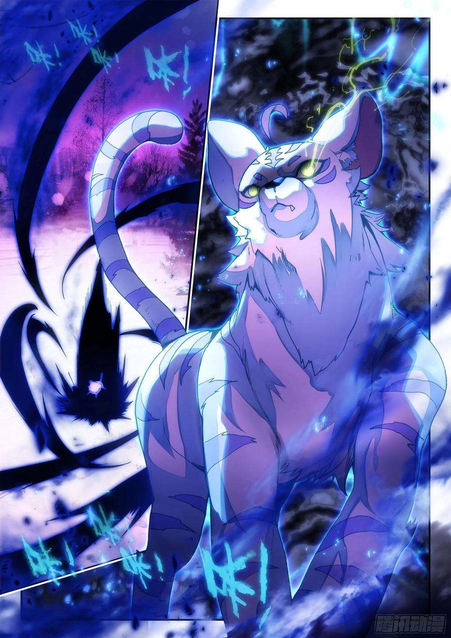 天珠变61 大肥猫