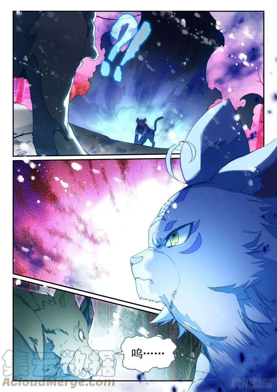天珠变61 大肥猫