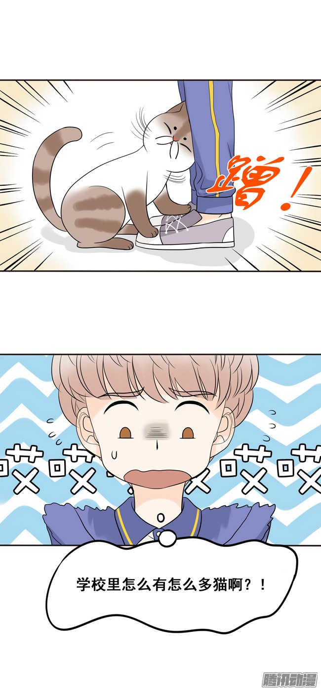 夹心之绊08 你也认识古古啊