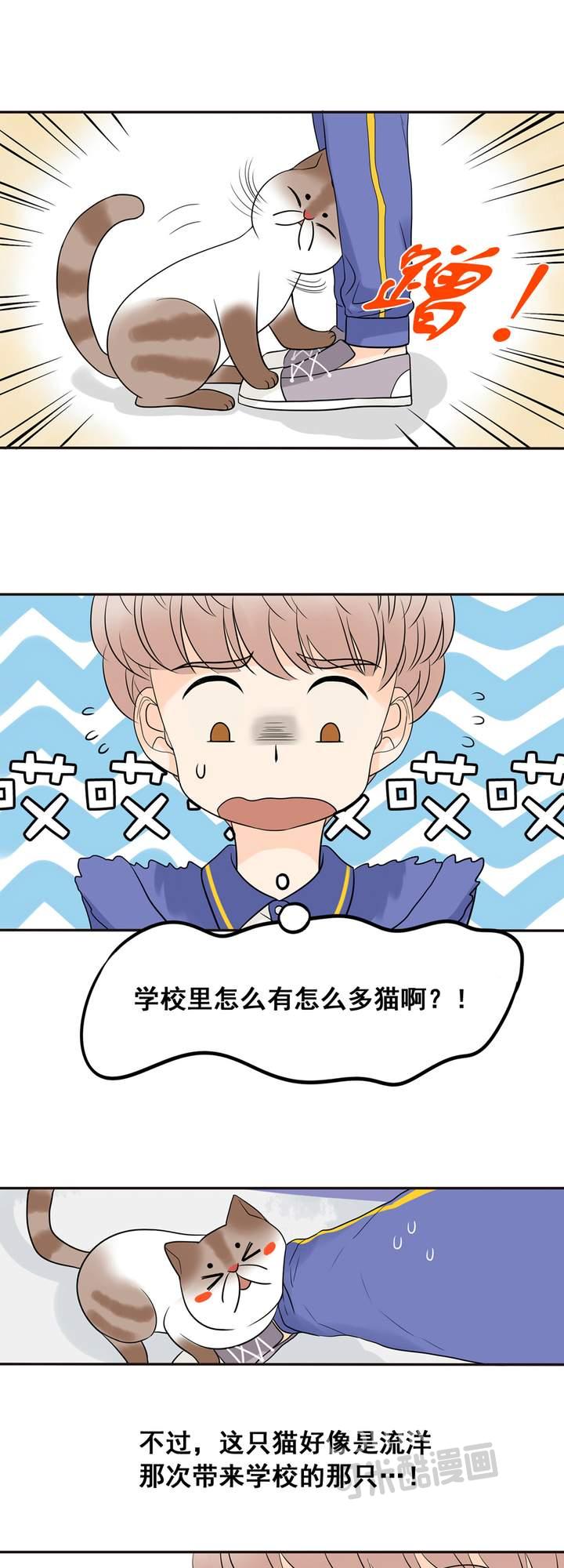 夹心之绊8话 你也认识古古啊
