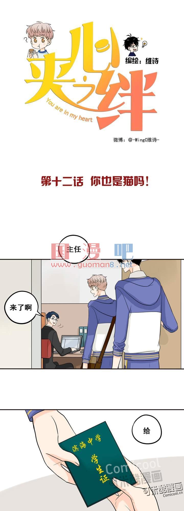 夹心之绊12话 你也是猫吗！