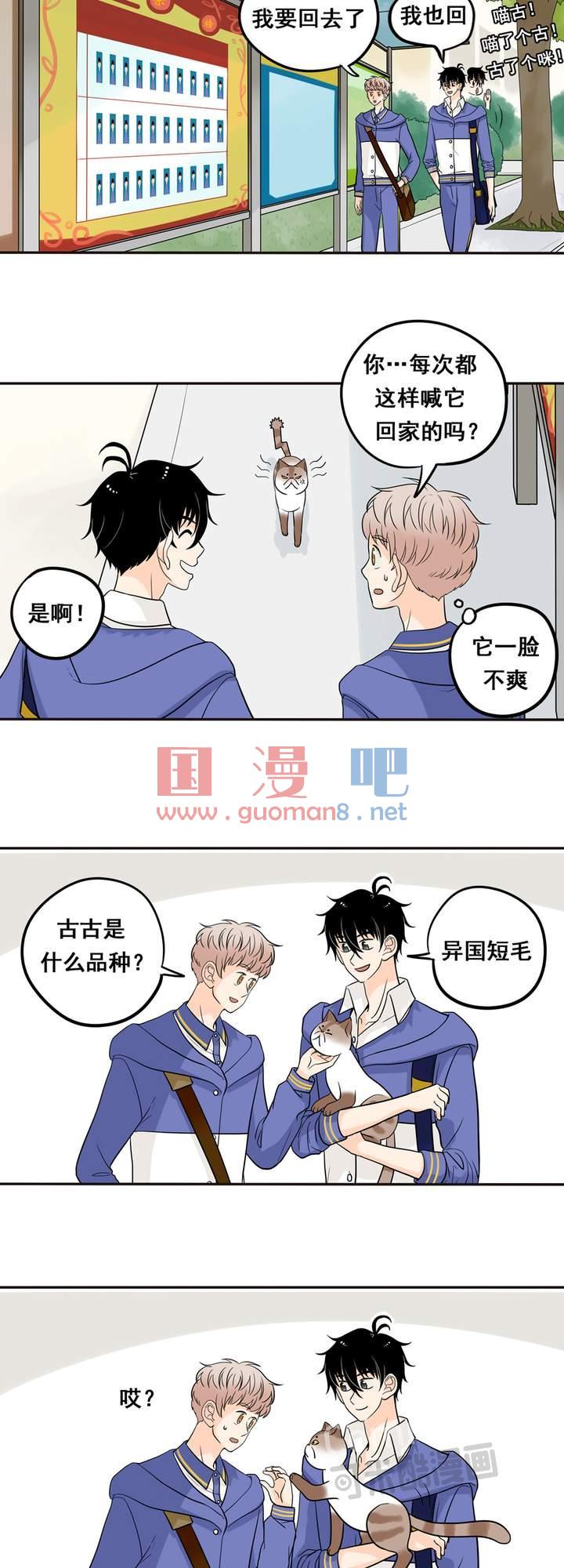 夹心之绊12话 你也是猫吗！
