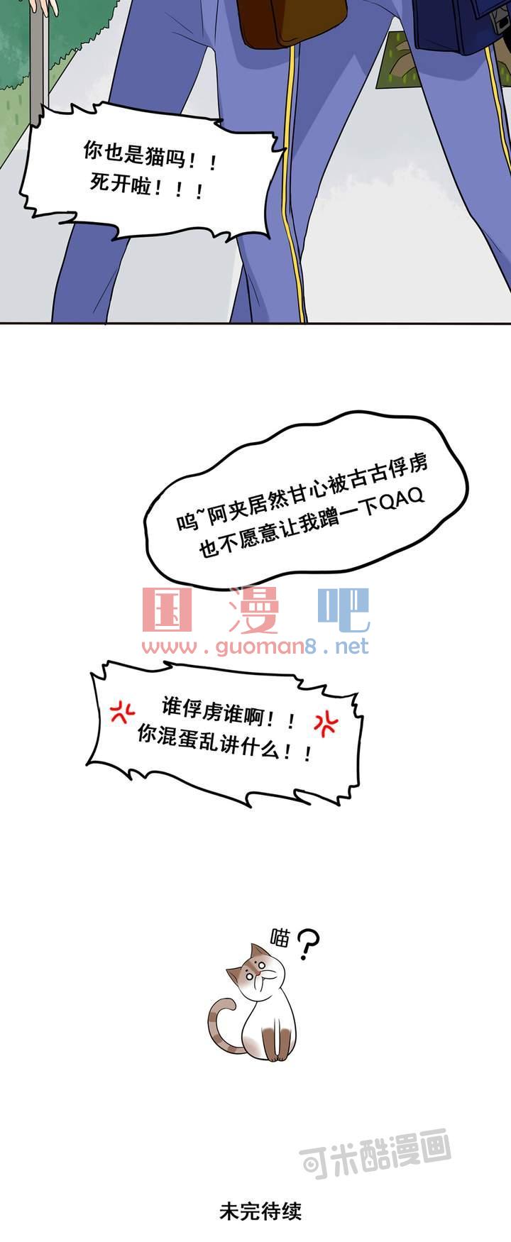 夹心之绊12话 你也是猫吗！