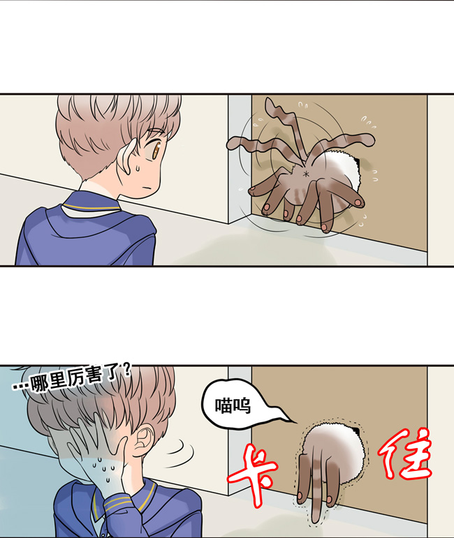 夹心之绊第10话 你还是以前的阿夹