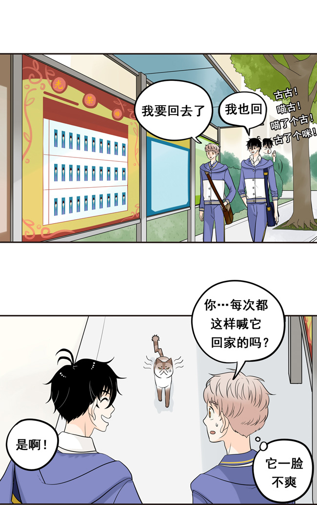 夹心之绊第12话 你也是猫吗！