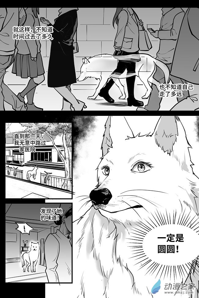 夜行人第08话 过往