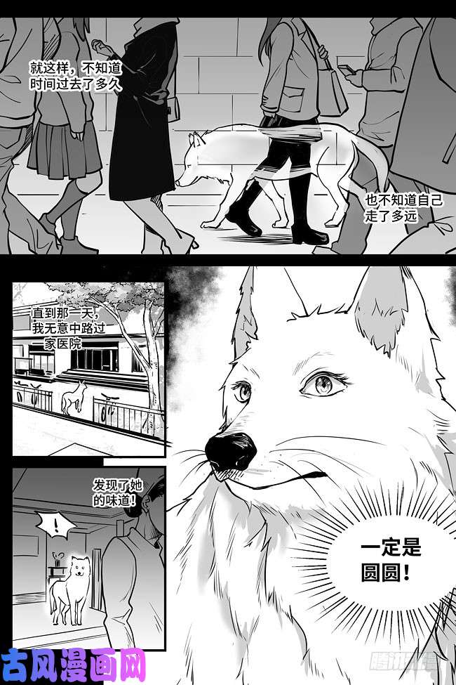 夜行人07-过往（中）