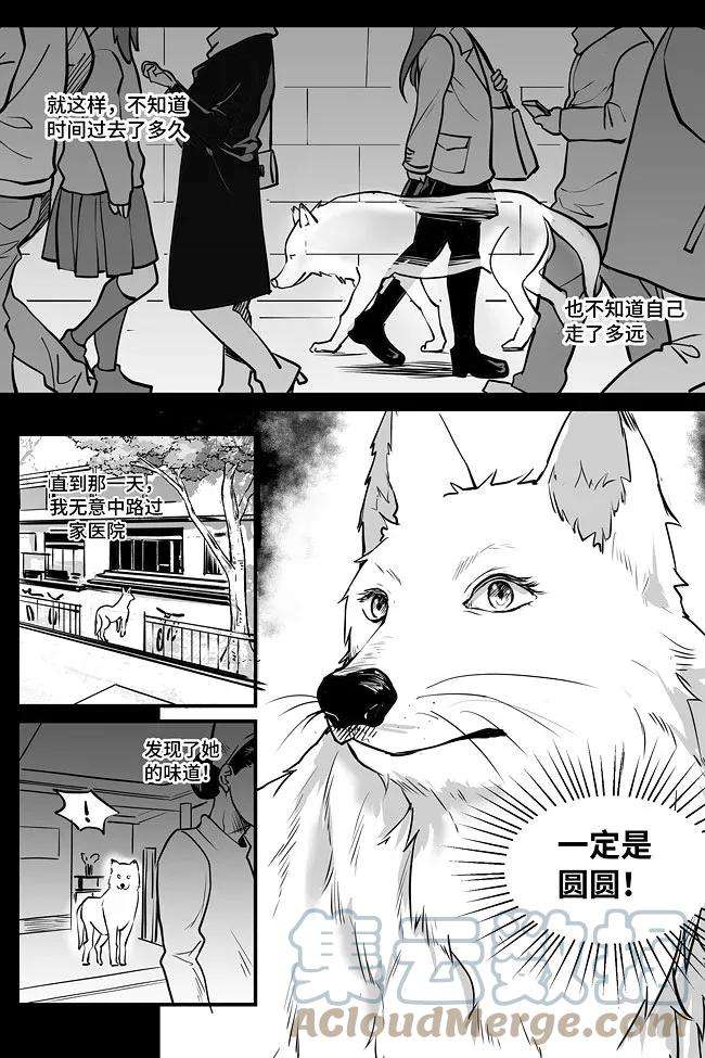 夜行人08 过往