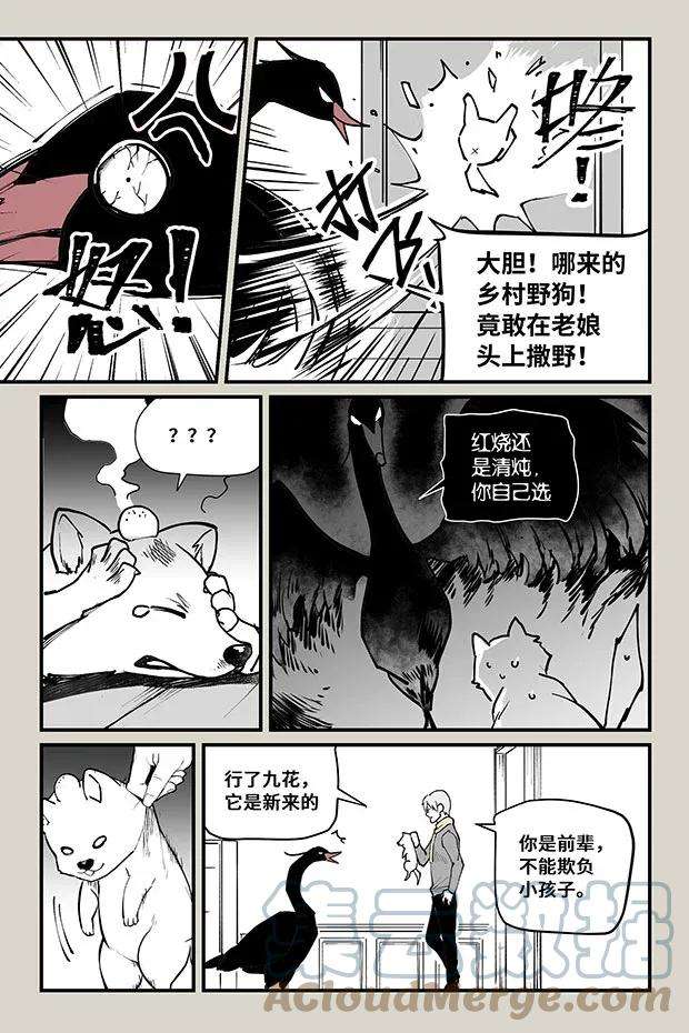 夜行人23 九花