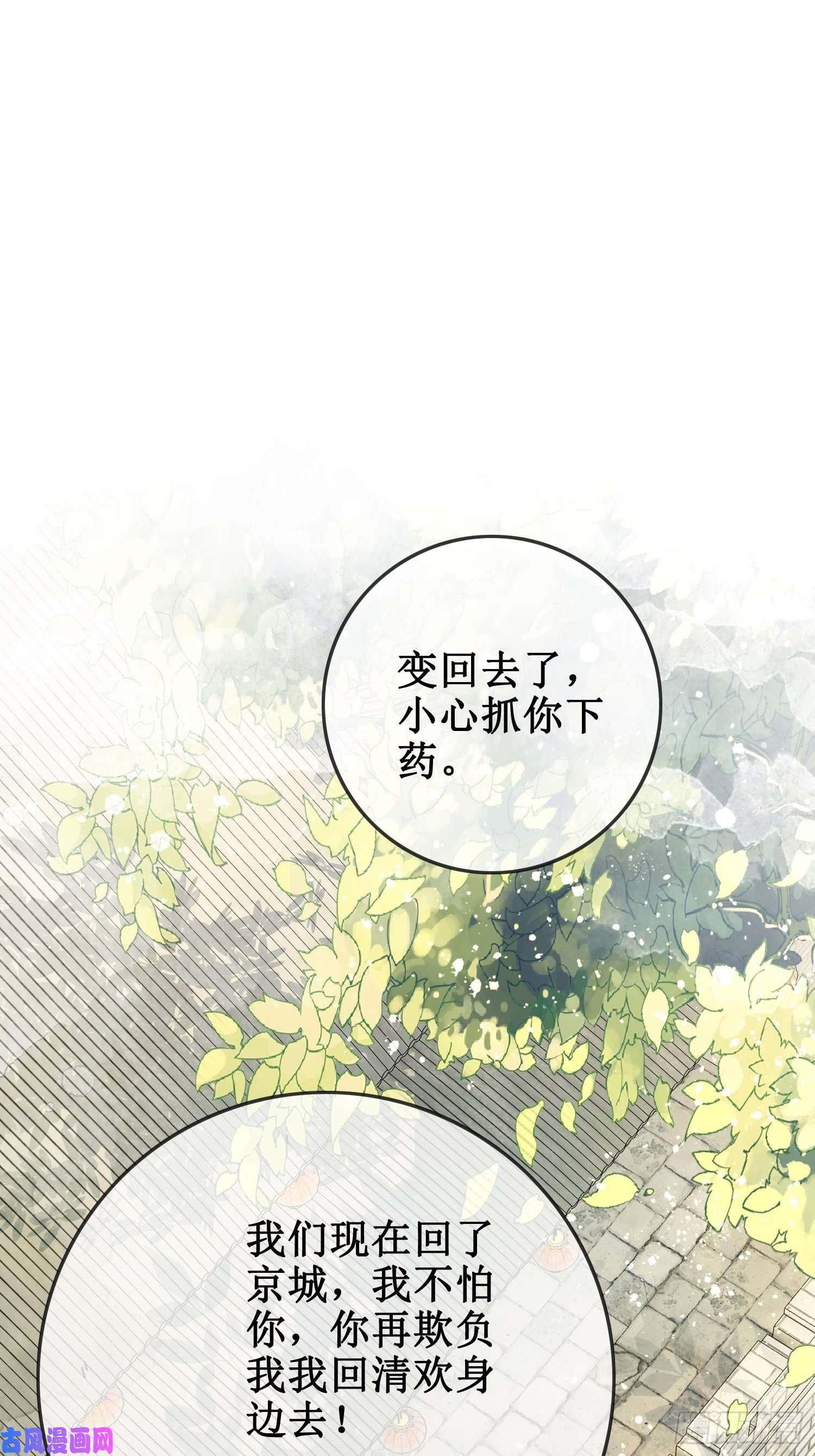 清欢序第二话：重返京都，暗藏杀机