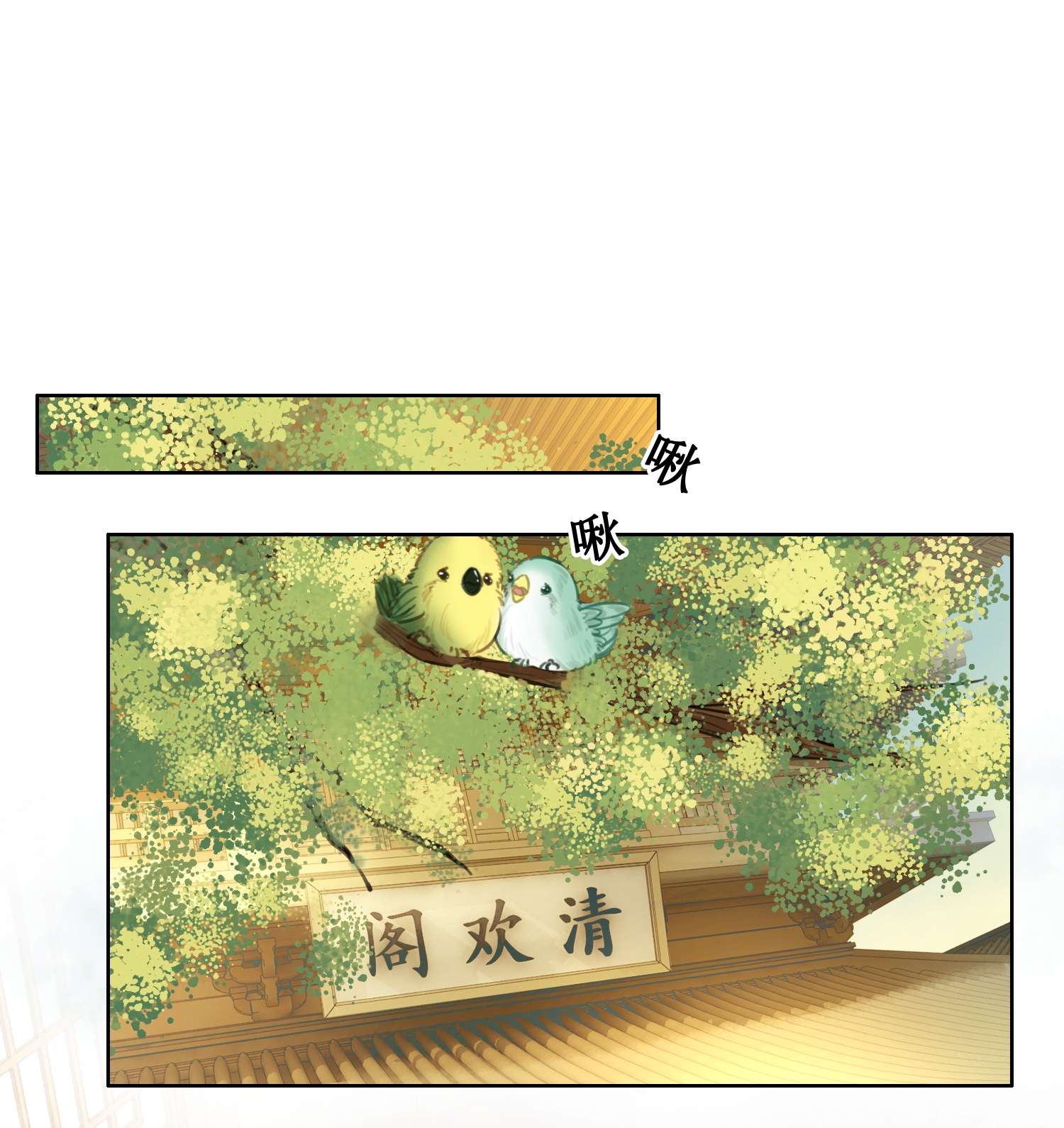 清欢序007 清晨的出现