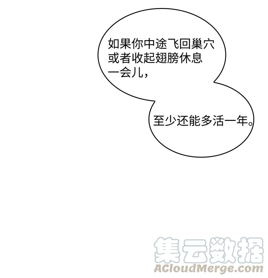 FFF级勇士求关注25 混沌的勇士