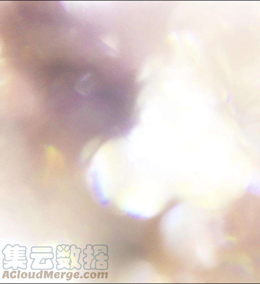 FFF级勇士求关注92 过目不忘