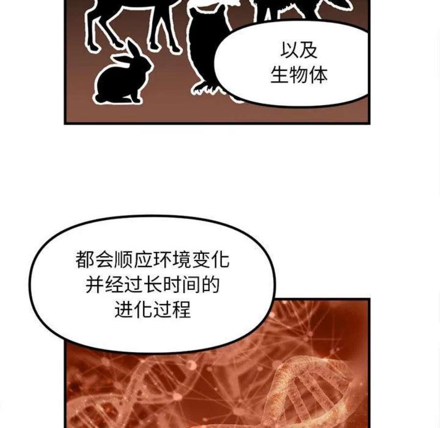 钢铁机械新娘104