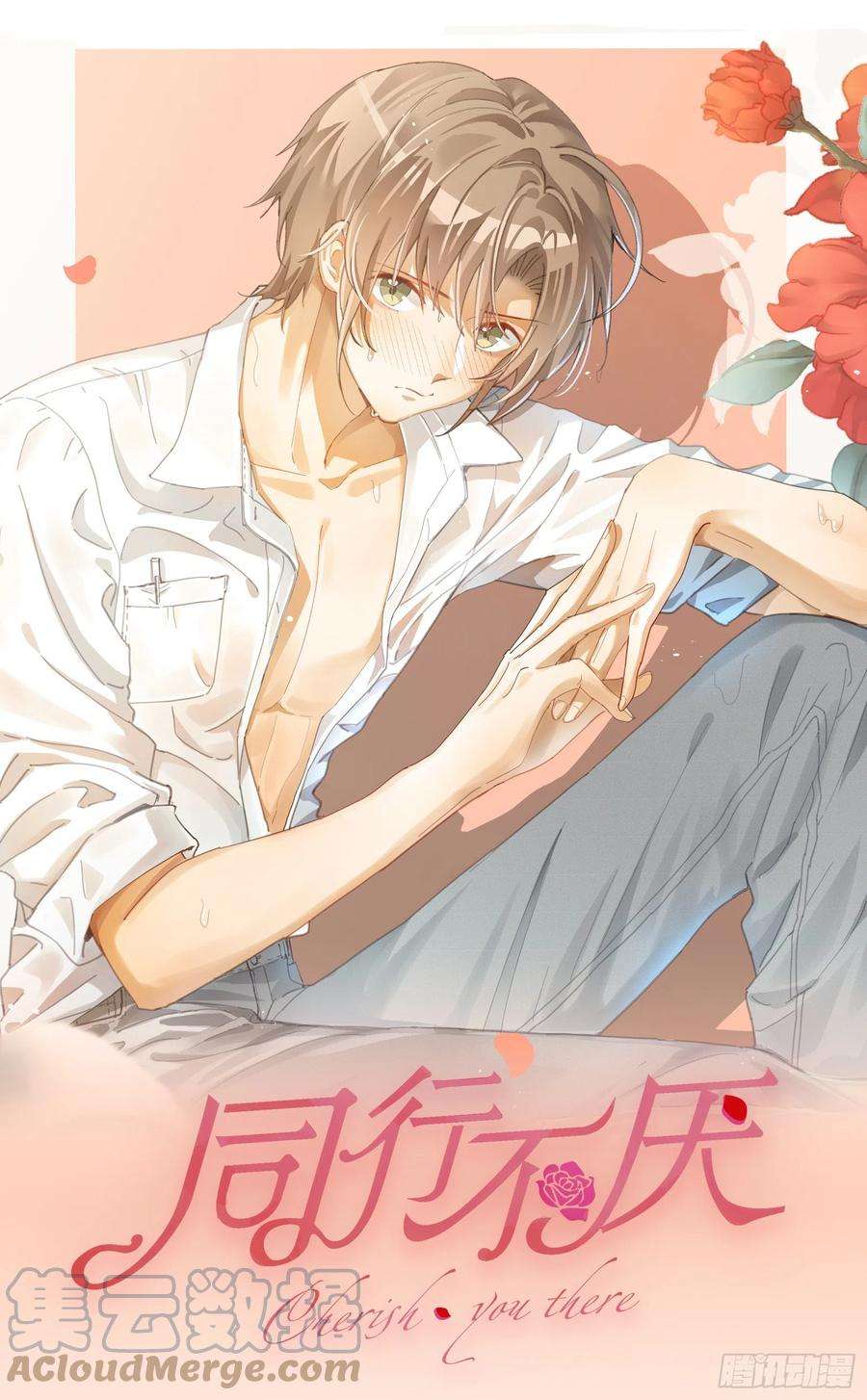 同行不厌49话 他会喜欢猫吗