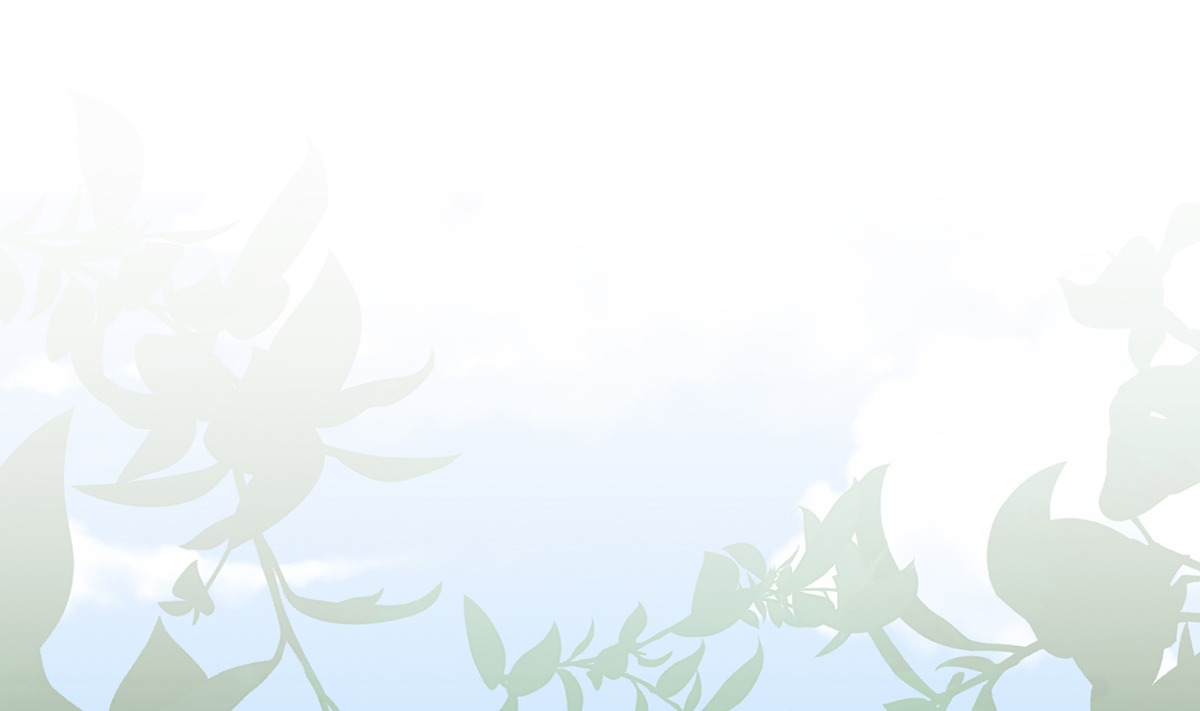 皇弟，莫提刀33 第29话 公主府失火