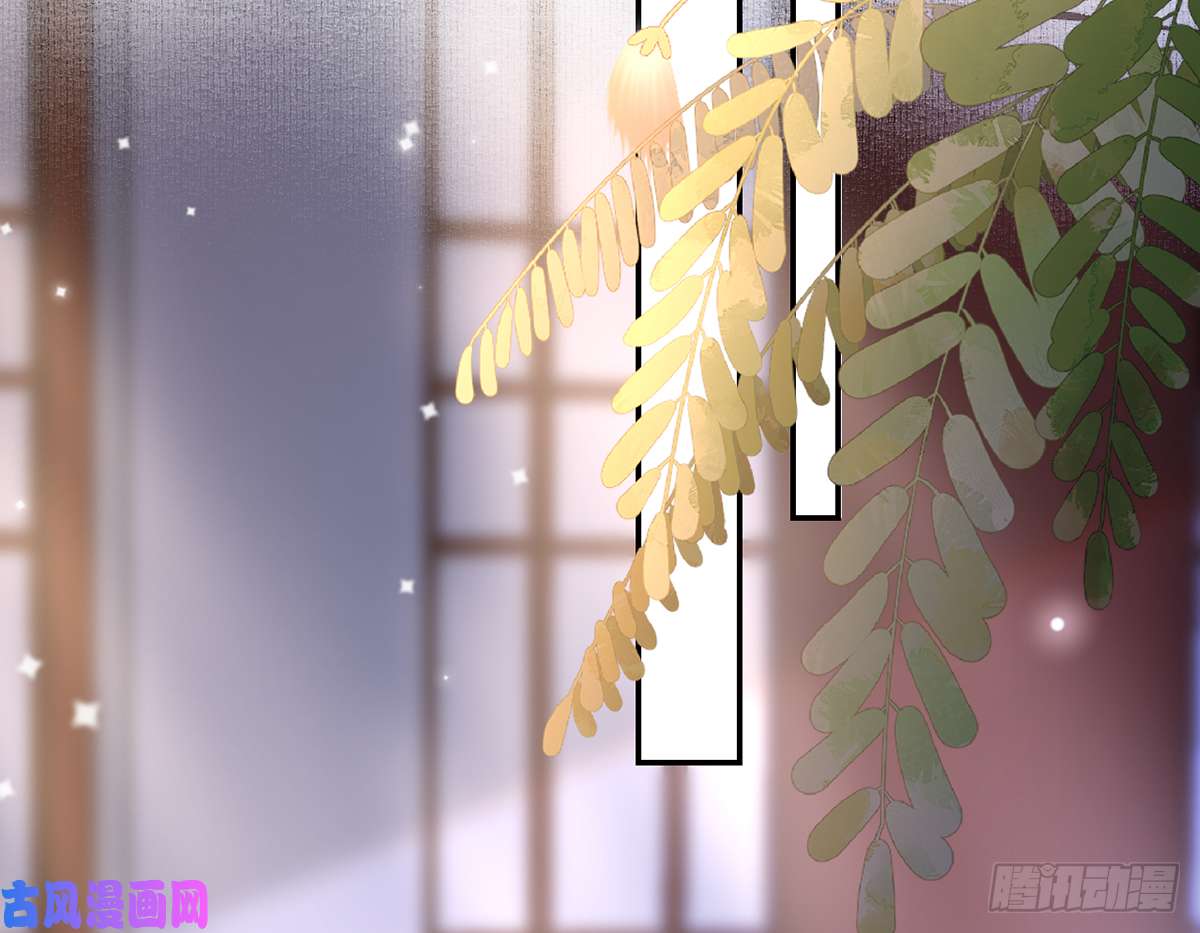 皇弟，莫提刀第40话 花魁？男花魁？