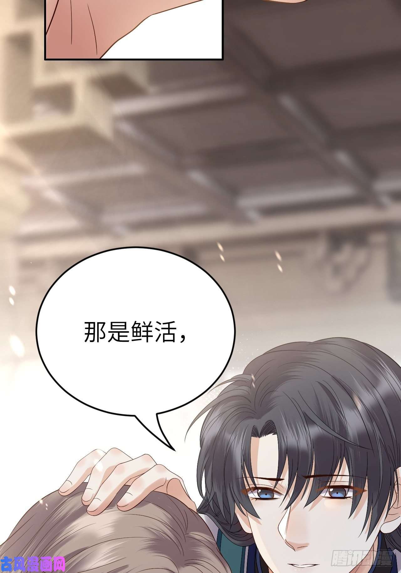 所爱隔山海第9话.此心安处是吾乡