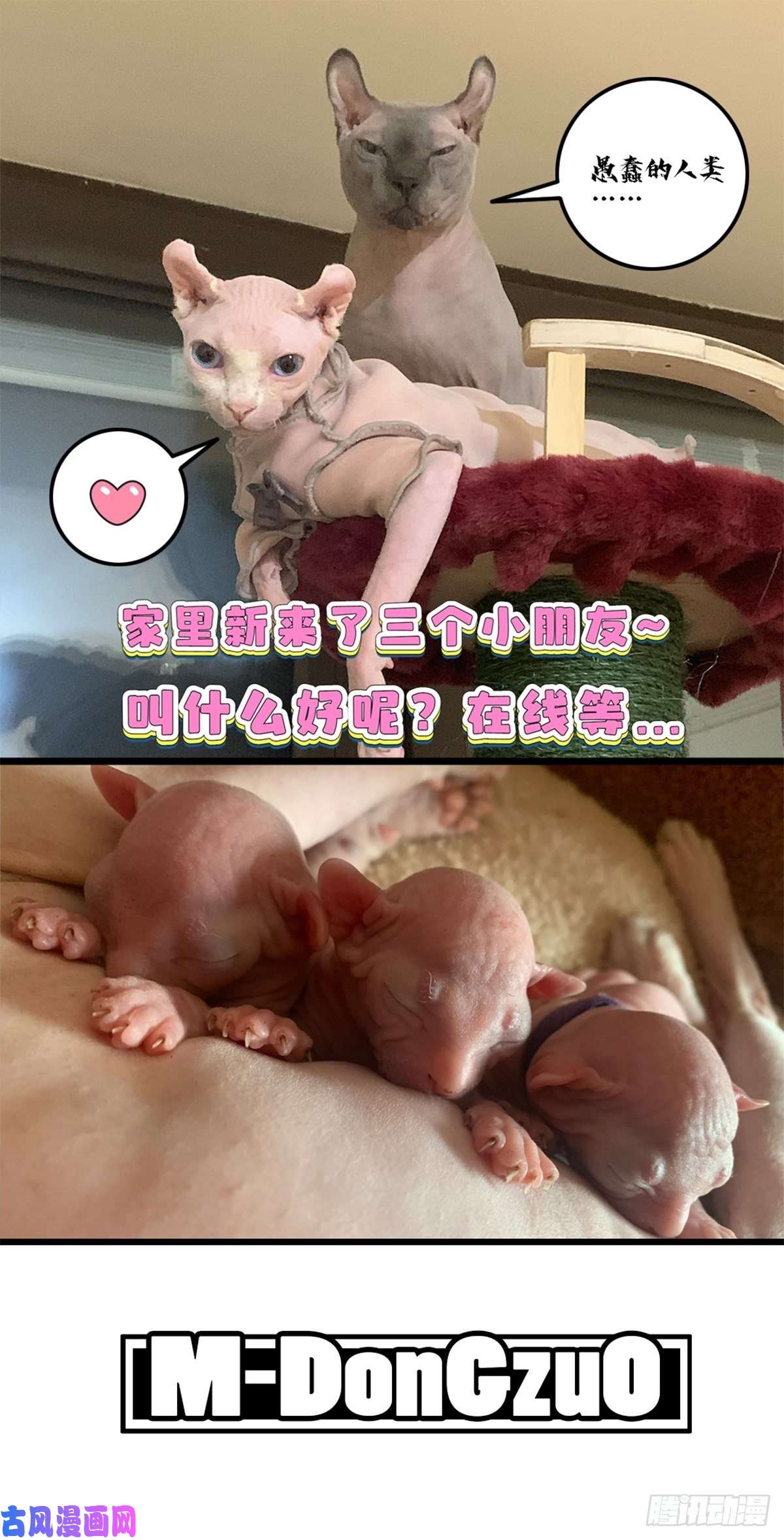 所爱隔山海第10话.半醉归途似故人