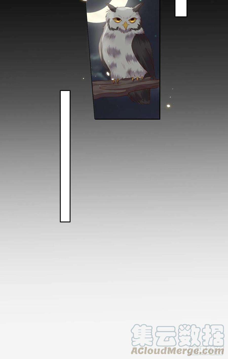 所爱隔山海13话.招摇山下人面狌