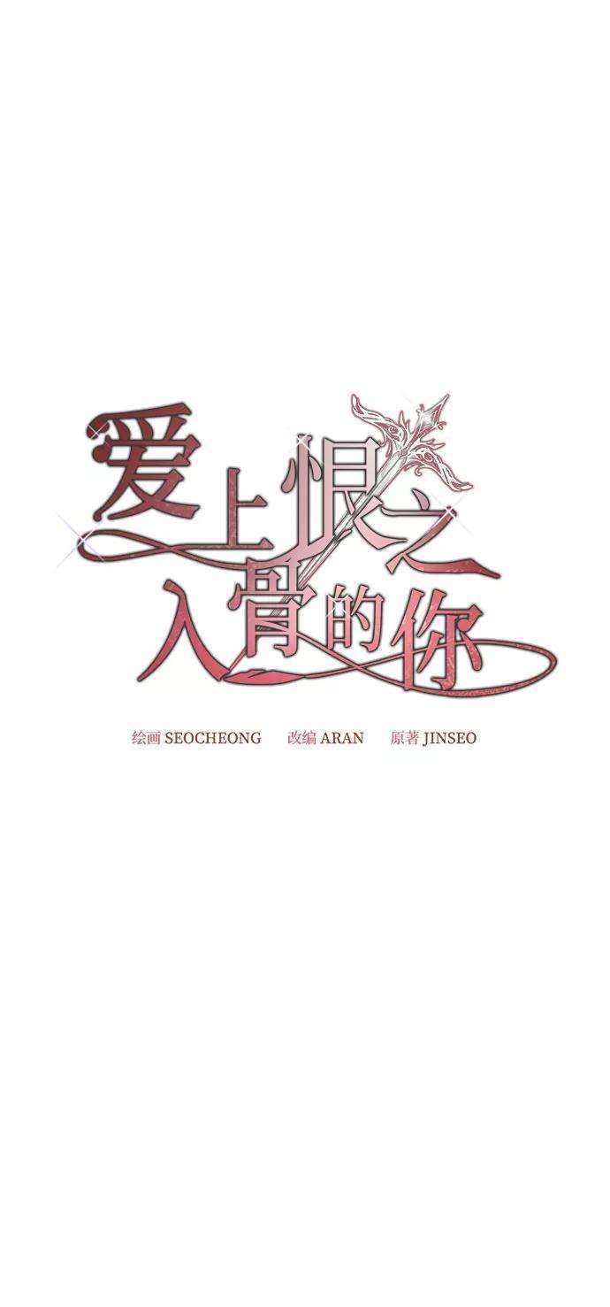 爱上恨之入骨的你12话