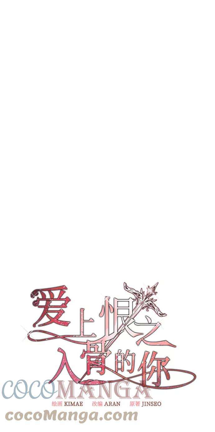爱上恨之入骨的你27话
