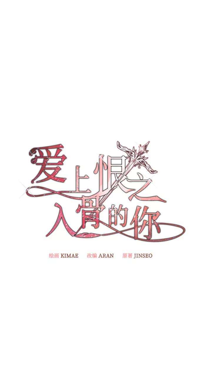 爱上恨之入骨的你28话