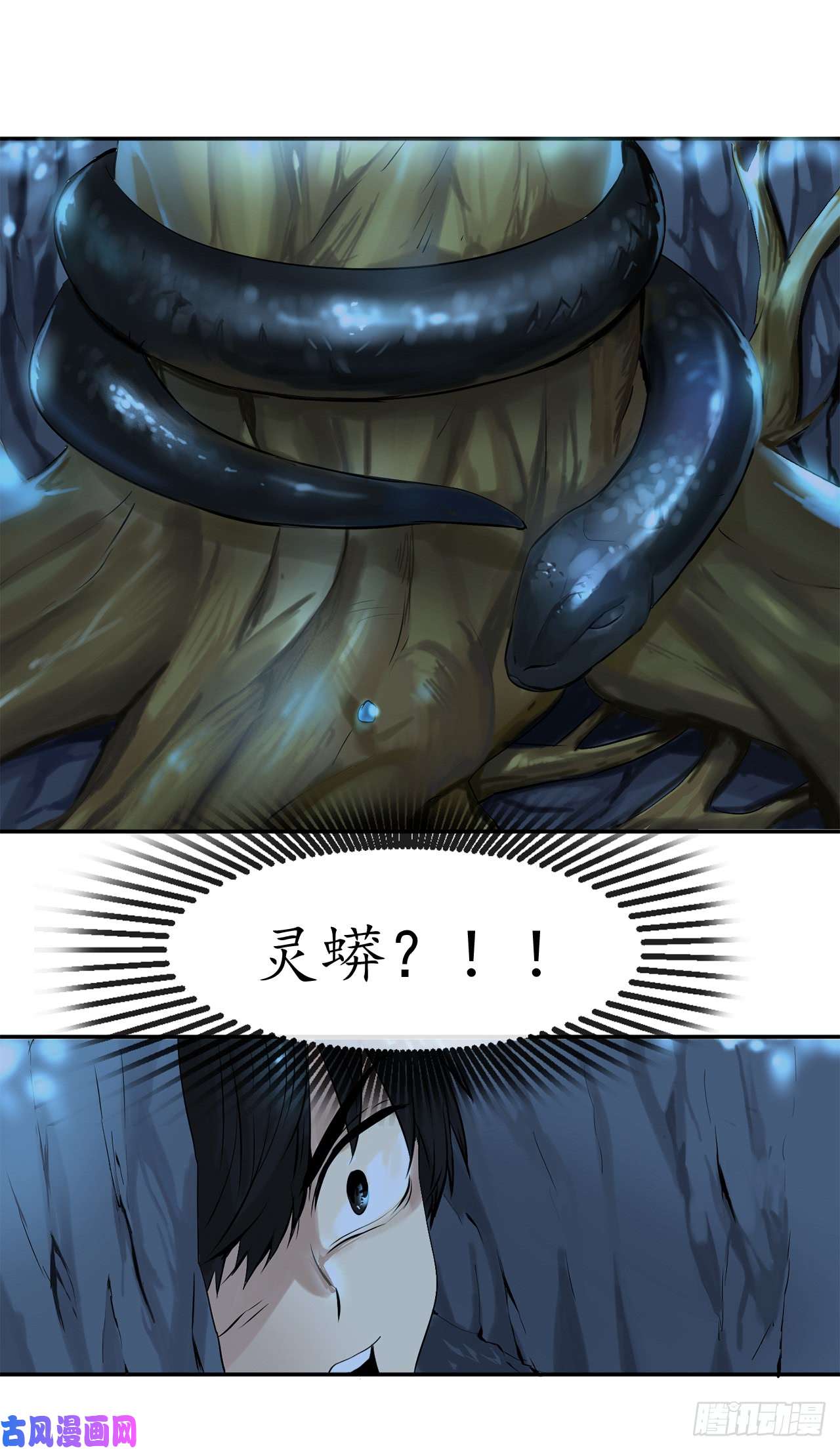 废柴重生之我要当大佬4.夺取灵桃