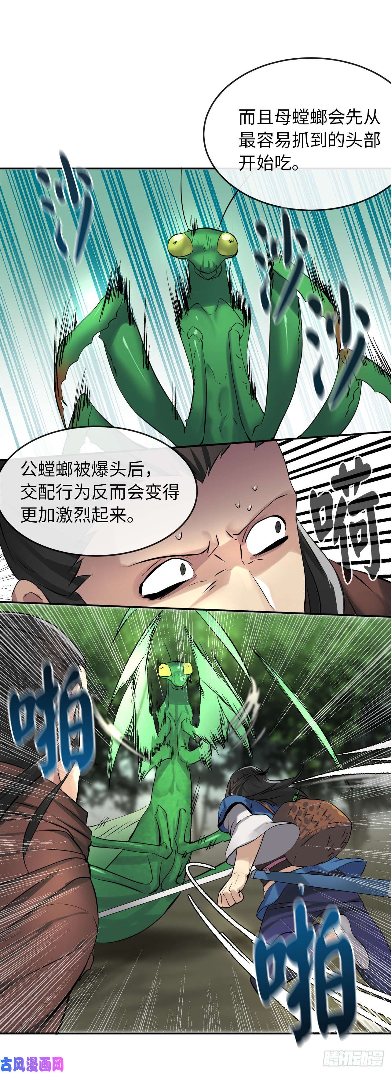 废柴重生之我要当大佬46.绿巨螳螂